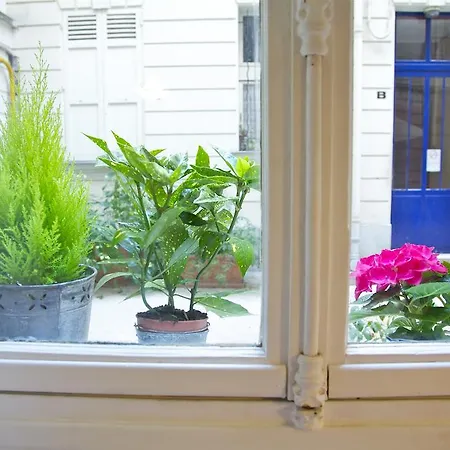 Le Flore * Paris